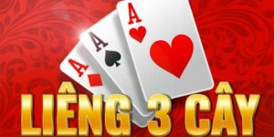 Bài 3 cây là gì ? cơ hội làm giàu nhanh hay chỉ là may mắn